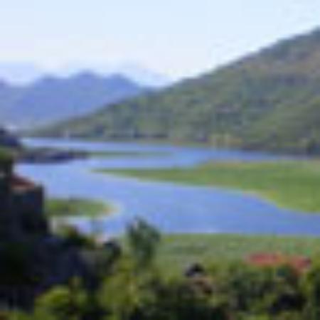 Gangotri Bar & Restaurant