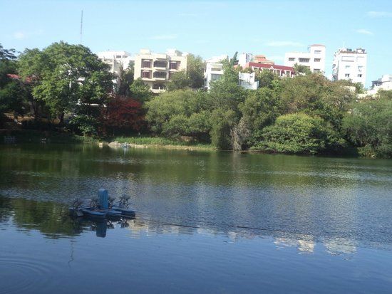 Lotus Pond