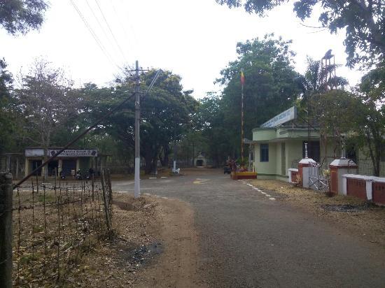 Sandalwood Oil Factory