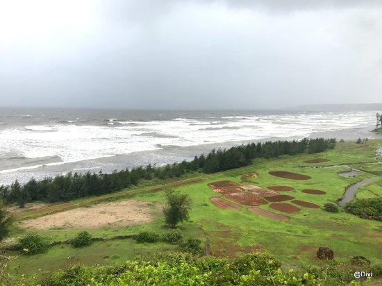 Arey Ware Beach
