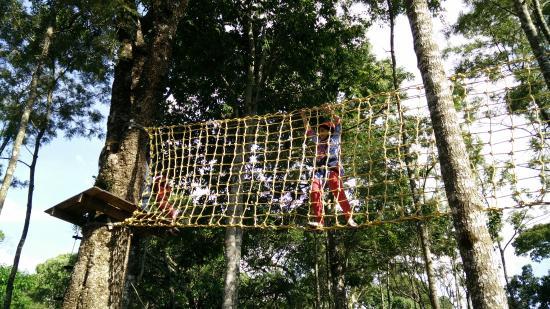 TreeTop Adventure Park