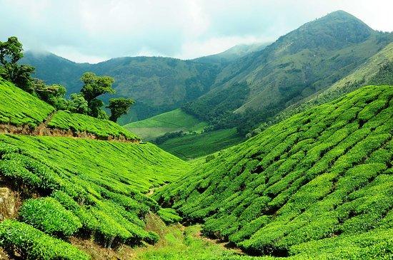 Green Hope Tourism