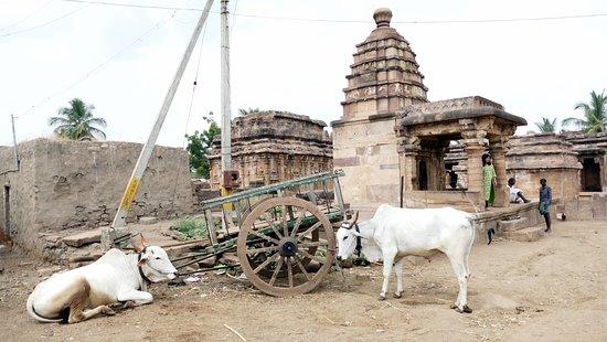 South India Voyages