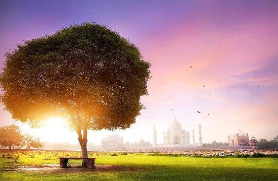 Rainbow Dream Travels