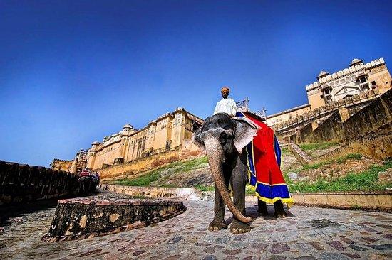 Jaipur Yatra Company