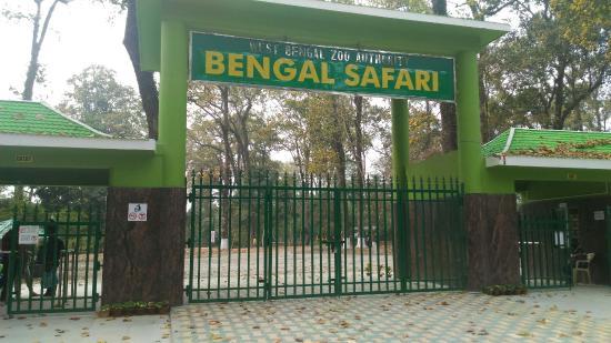Bengal Safari