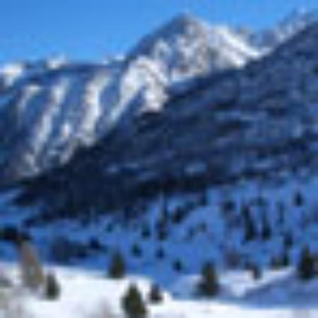 Clock Tower Chinese Restaurant