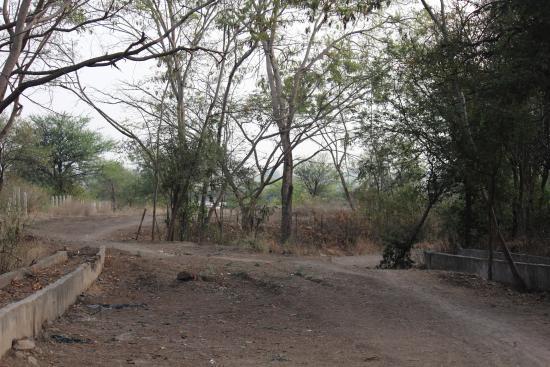Mayani Bird Sanctuary
