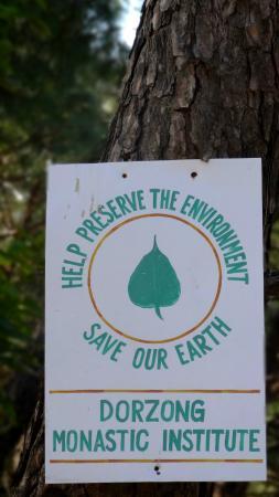 Dorzong Monastic Institute