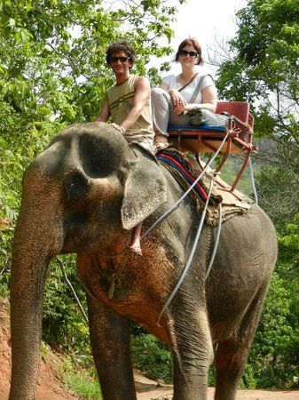 Seaview Elephant Camp