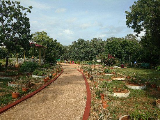 Hyderabad Botanical Gardens