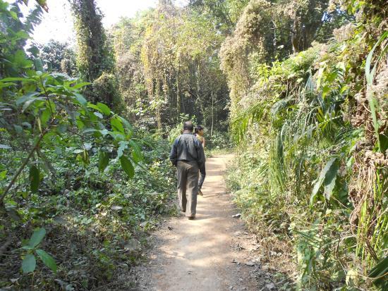 Chintamoni Kar Sangrahalay