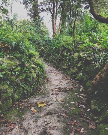 Lloyd Botanical Garden