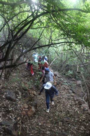 Kambalakonda Wildlife Sanctuary