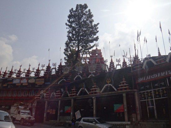 Tibetan Homes School