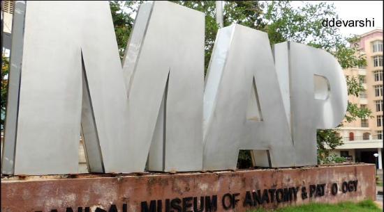Manipal Museum of Anatomy & Pathology